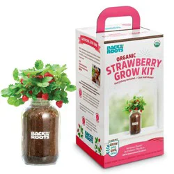 Back to the Roots Organic Strawberry Grow Kit