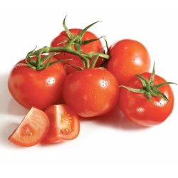 Organic Tomatoes On The Vine