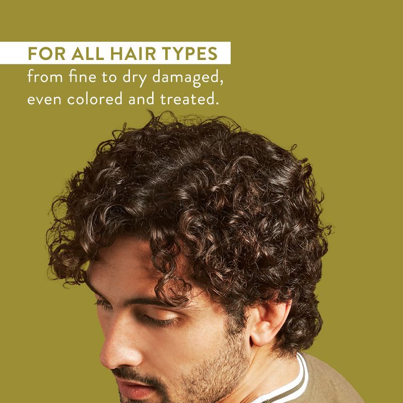 slide 10 of 11, Native Fall Seasonal Desert Grass & Sandalwood Moisturizing Shampoo - 16.5 fl oz, 16.5 fl oz