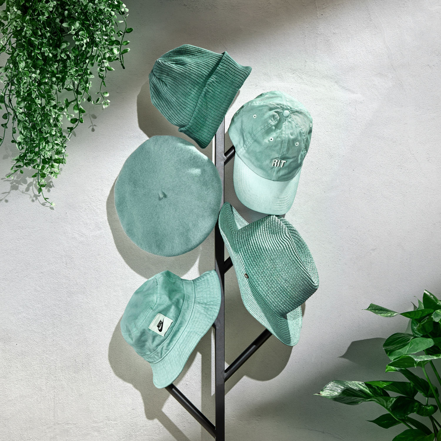 slide 2 of 4, Rit All Purpose Liquid Dye Sage 8oz, 8 oz