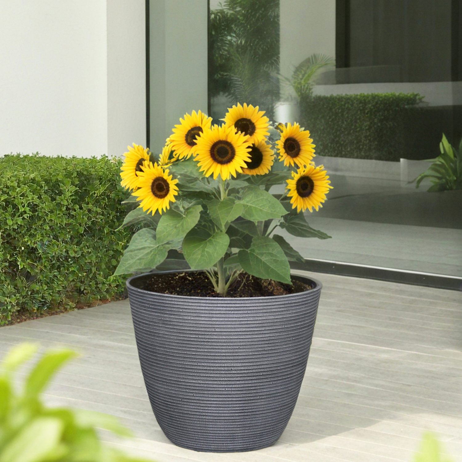 slide 3 of 4, L&G Roman Ribbed Planter Grey, 12", 12 in