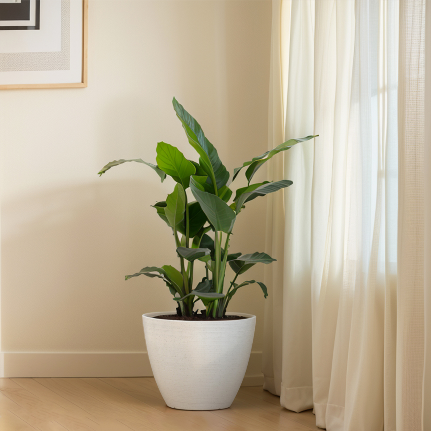 slide 3 of 5, Cadiz Planter,12 in×9.4 in, White, 12 in