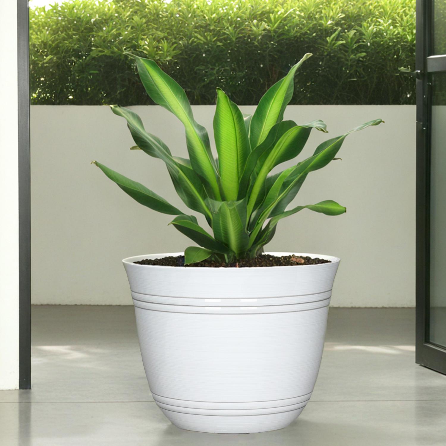slide 3 of 5, Galileo Planter, 14.5 in×11 in, White, 14.5 in