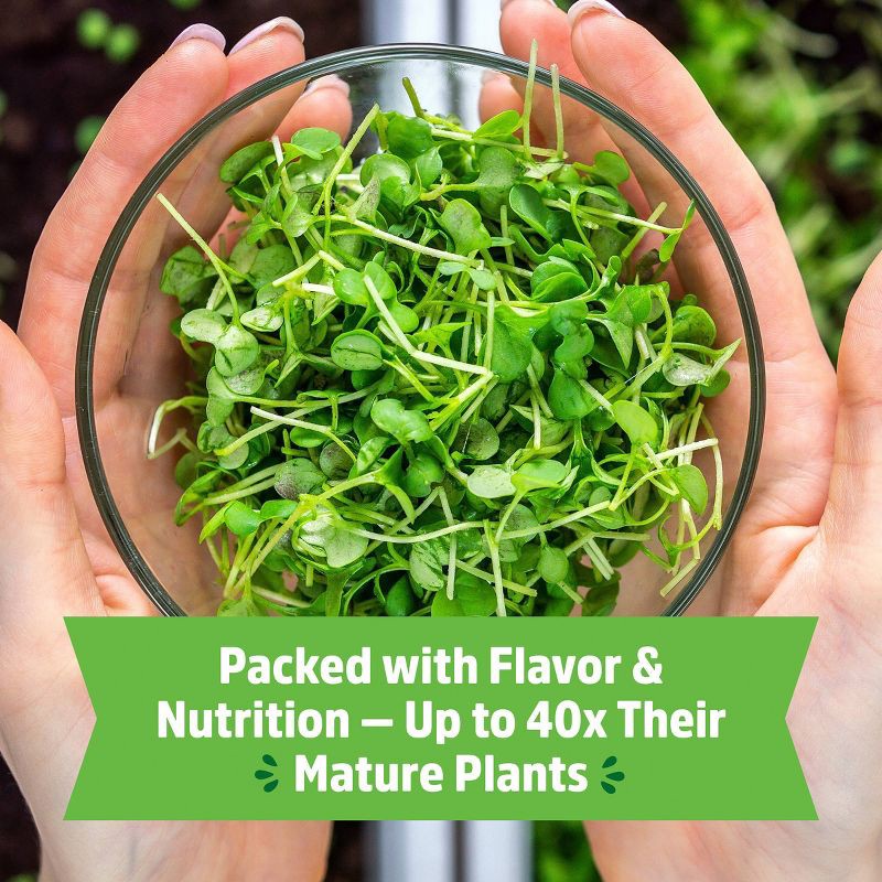 slide 6 of 11, Back to the Roots Organic Mighty Mix Superfoods Microgreens Grow Kit With Ceramic Planter, 1 ct