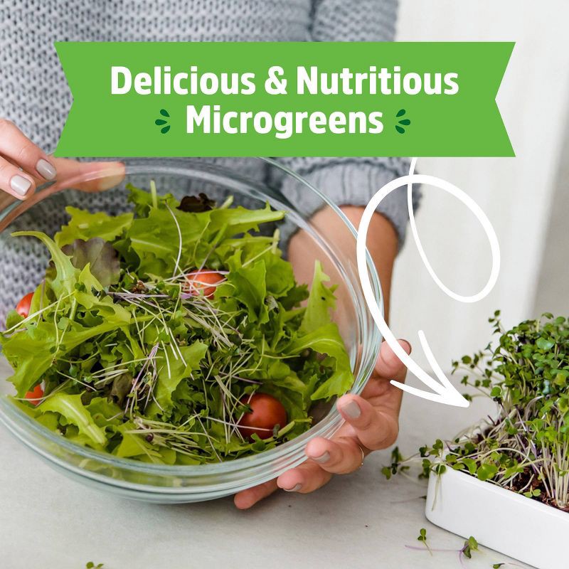 slide 7 of 11, Back to the Roots Organic Mighty Mix Superfoods Microgreens Grow Kit With Ceramic Planter, 1 ct