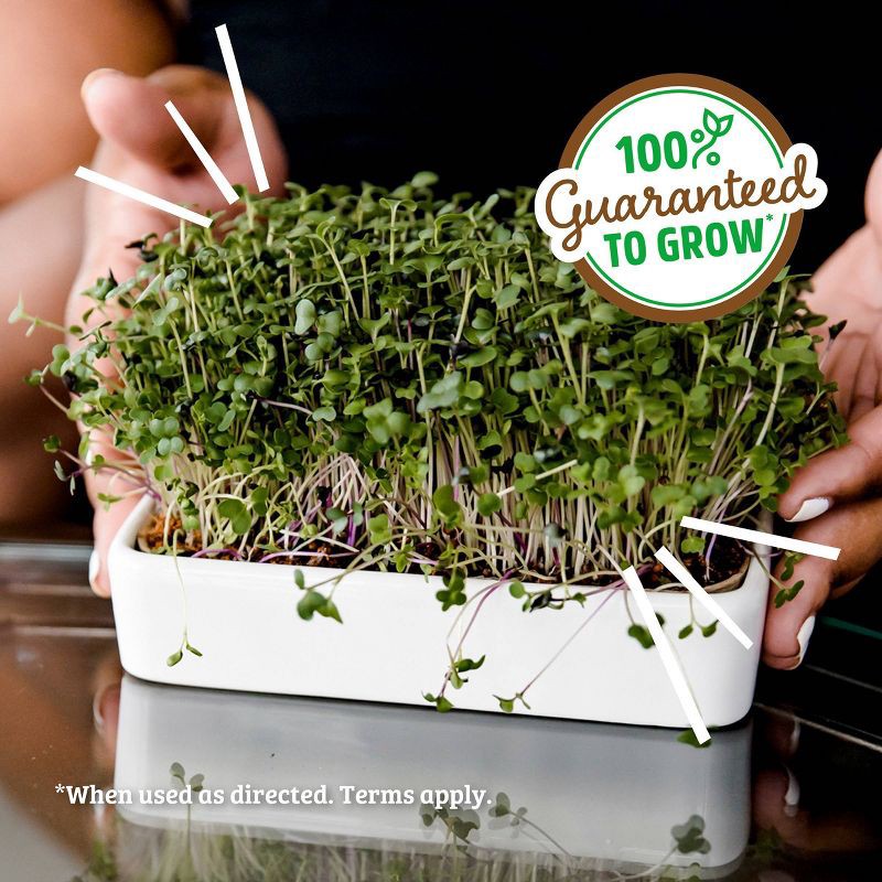 slide 8 of 11, Back to the Roots Organic Mighty Mix Superfoods Microgreens Grow Kit With Ceramic Planter, 1 ct