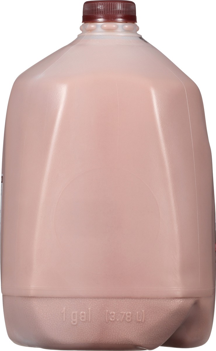slide 8 of 12, Prairie Farms Premium Chocolate Milk 1 gl Jug, 1 gal