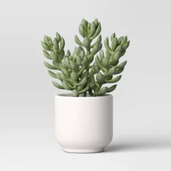Artificial Succulent Plant - Threshold™: Indoor Tabletop Decor, Green & White, Faux Soil, Cement Pot, 7.5" Height