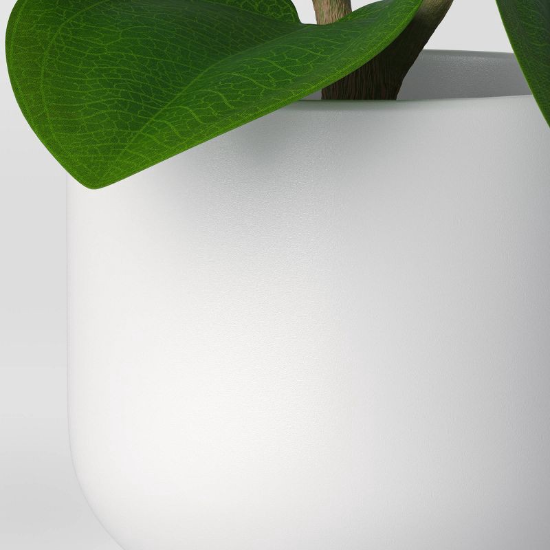 slide 5 of 5, Artificial Leaf Plant - Threshold™: Peperomia Caperata in Melamine Pot, Indoor Faux Flora Decor, 1 ct