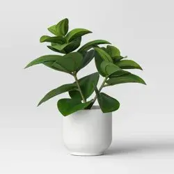 Artificial Leaf Plant - Threshold™