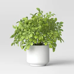 Artificial Boxwood Plant - Threshold™: Indoor Faux Greenery, Melamine Pot, Tabletop Decor, 4.3&quot; Height