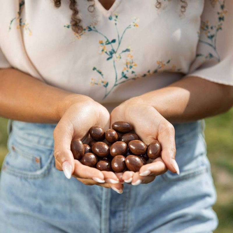 slide 3 of 3, ChocZero Choc Zero Milk Chocolate Double Dipped Coconut Almonds - 3.5oz, 3.5 oz