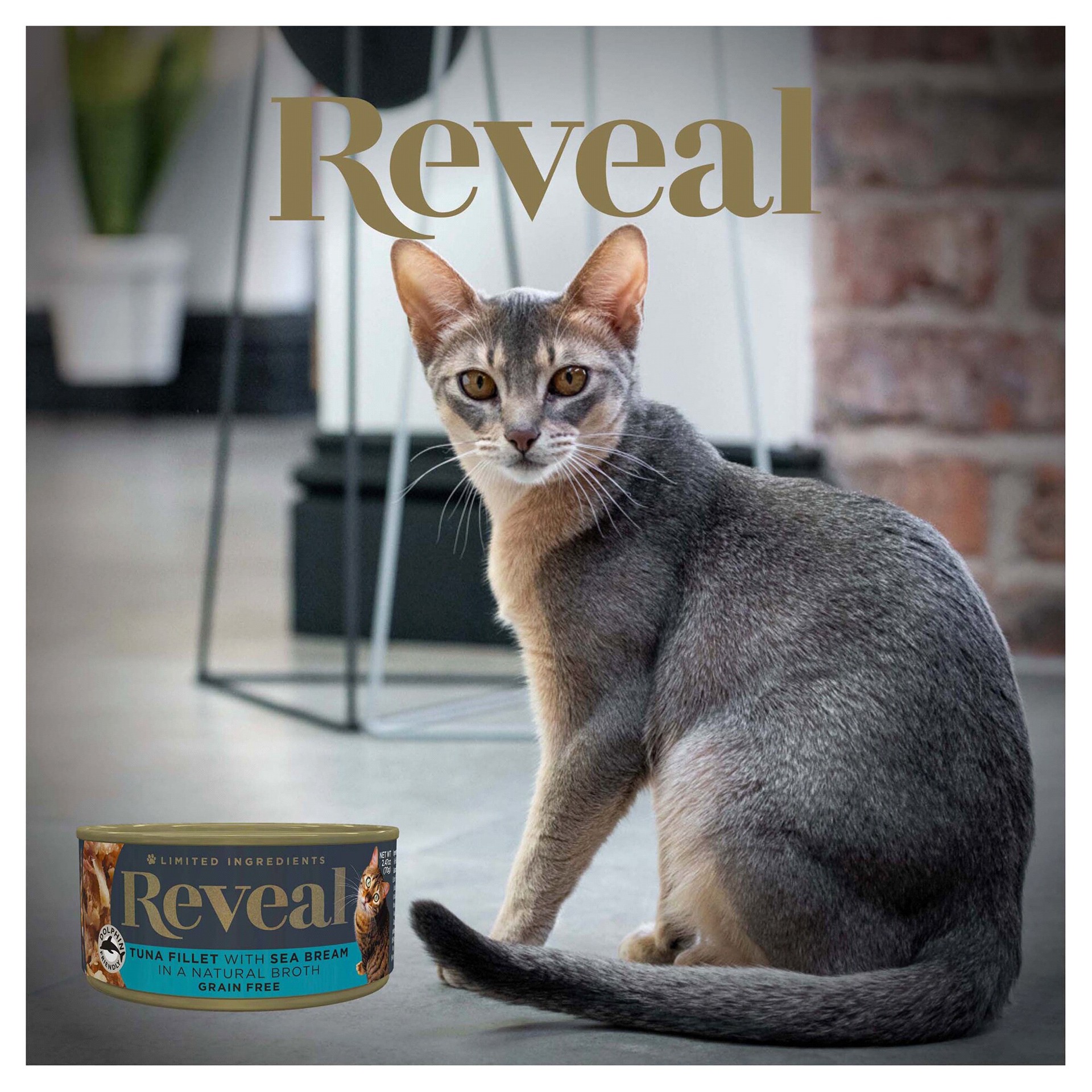 slide 9 of 29, Reveal Tuna Fillet with Sea Bream, 2.47 oz