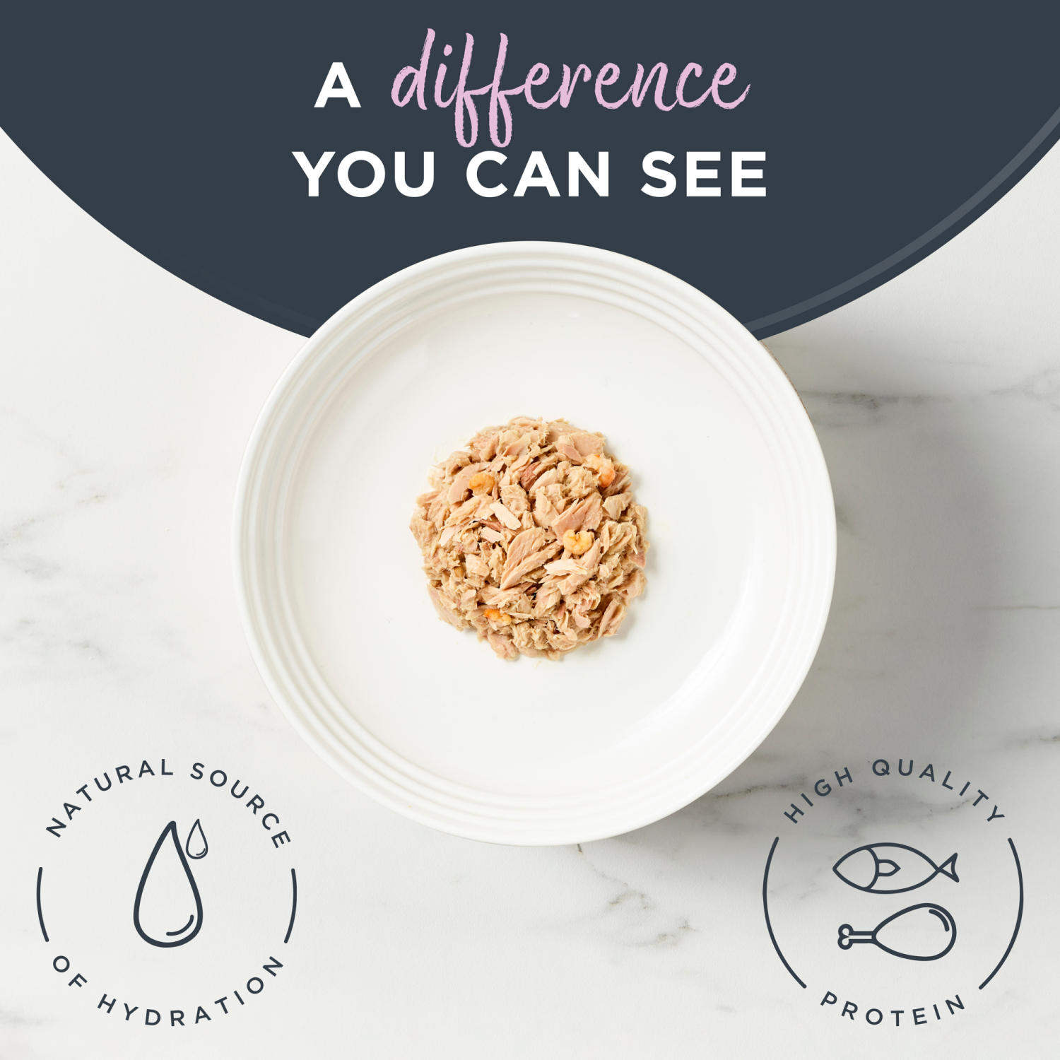 slide 5 of 6, Reveal Tuna Fillet With Shrimp in Broth Can Cat Food, 2.47 oz