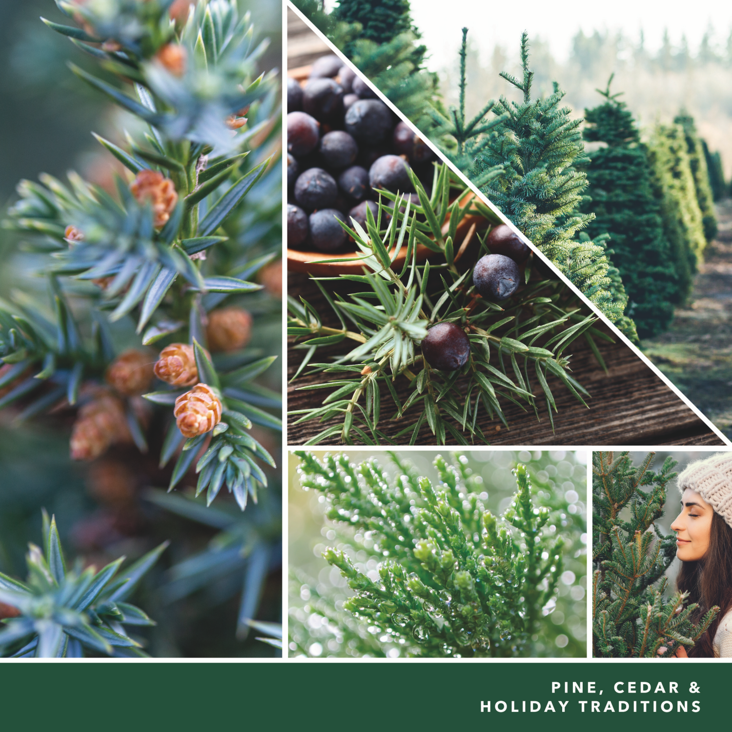 slide 2 of 2, Yankee Candle Smart Scent Vent Clip Balsam & Cedar Air Freshener 0.13 fl oz, 0.13 fl oz