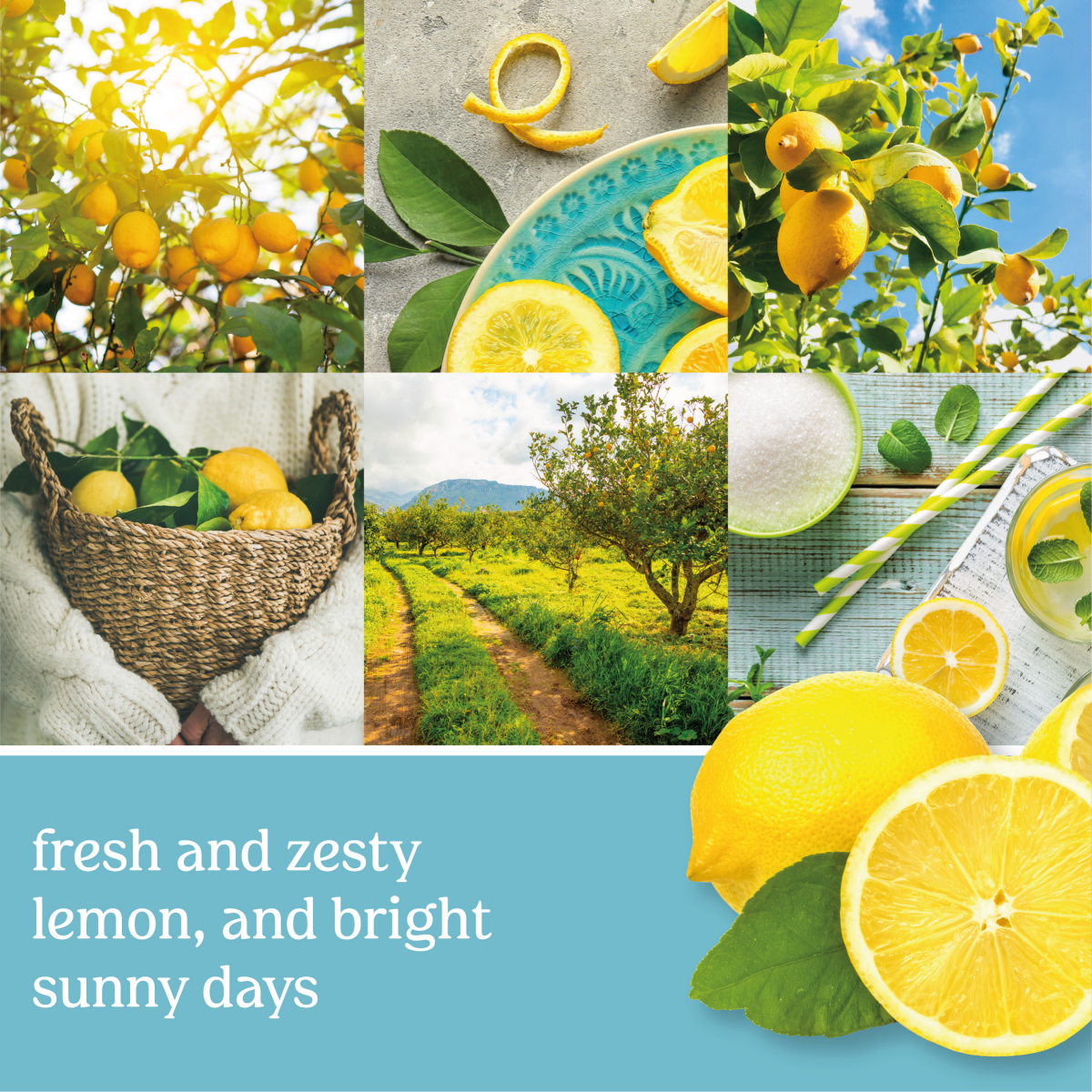 slide 2 of 2, Yankee Candle ScentPlug Oil Refill Sicilian Lemon, 1 ct