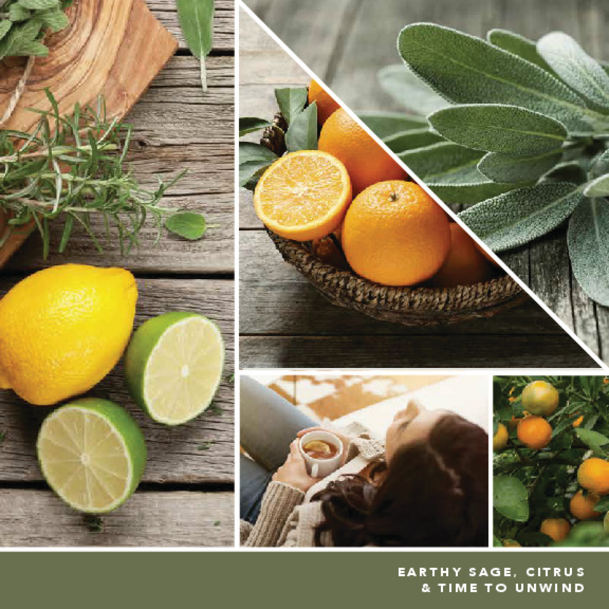 slide 2 of 3, Yankee Candle Large Jar Sage & Citrus, 22 oz