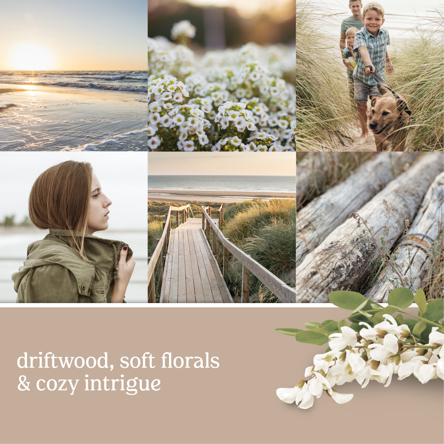 slide 2 of 2, Yankee Candle ScentPlug Oil Refill Seaside Woods, 1 ct