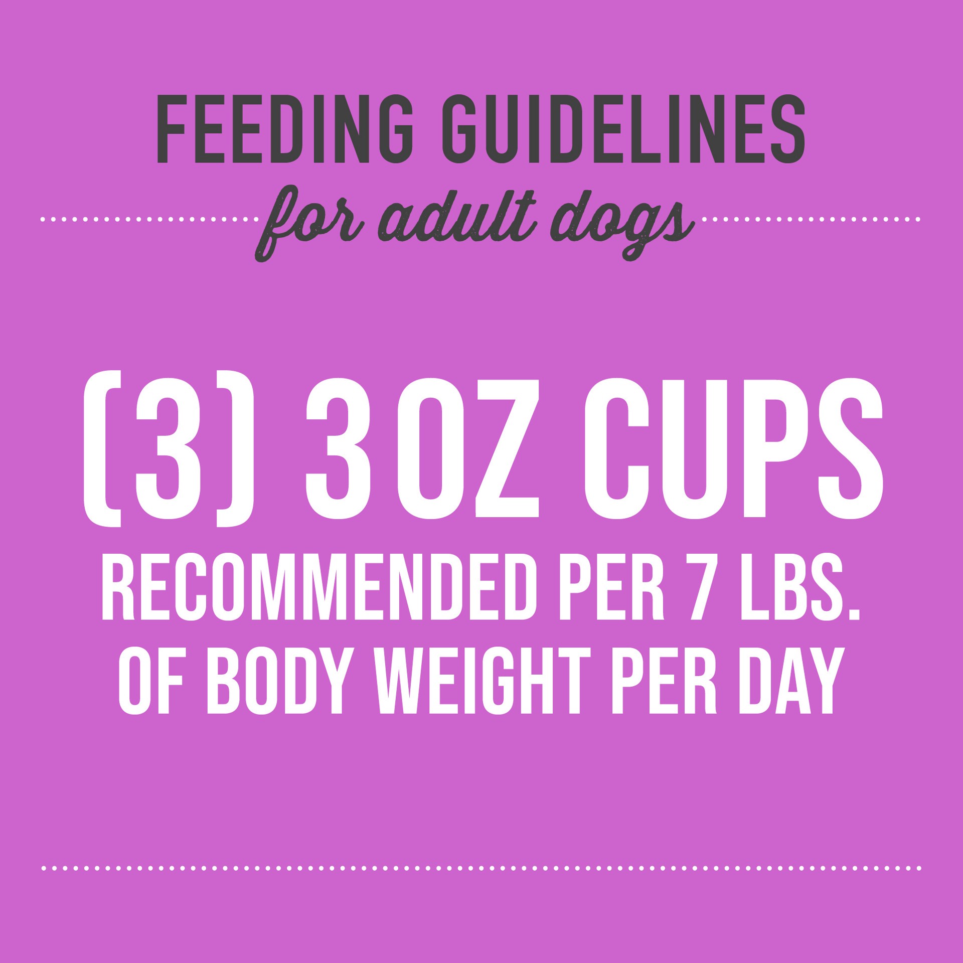 slide 2 of 7, Tiki Dog Petites Whole Foods Wet Dog Food, Chicken, 3 oz. Cup (4 Count), 3 oz