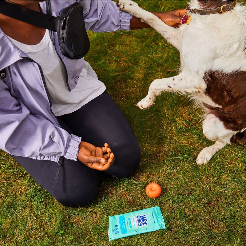 slide 3 of 7, Wet Ones Sensitive Skin Hand and Face Wipes Travel Pack - Unscented - 20ct, 20 ct