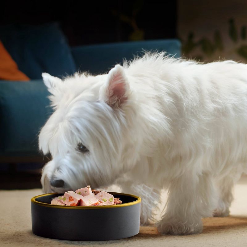 slide 3 of 10, Cesar Fresh Chef Chicken, Carrot, Pea, Vegetable, Beef and Red Meat Flavor Adult Refrigerated Wet Dog Food - 1.3lbs, 1.3 lb