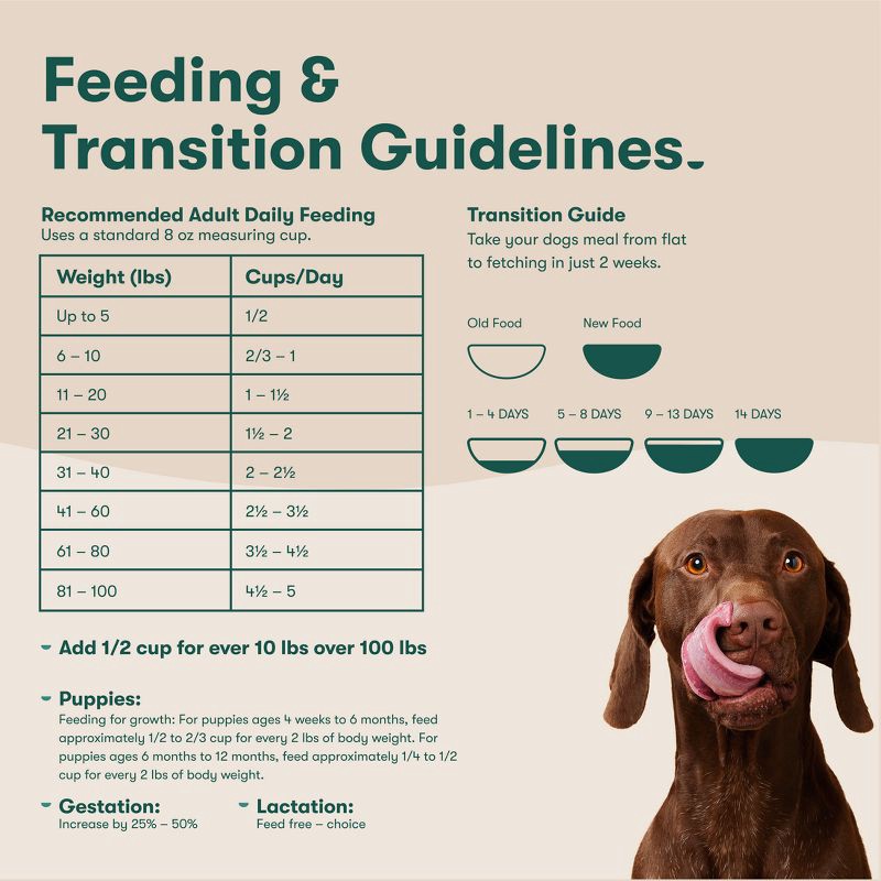 slide 9 of 9, Jinx Grain-Free Dry Dog Food with Salmon, Sweet Potato & Carrot Flavor - 11.5lbs, 11.5 lb