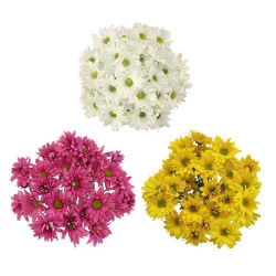Garden Bunches Pom Pom Assorted