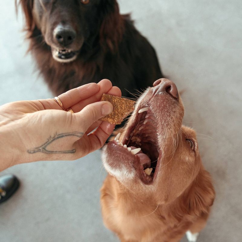 slide 2 of 3, Jinx Chicken Tender Flavor Dog Jerky Treats - 5oz, 5 oz