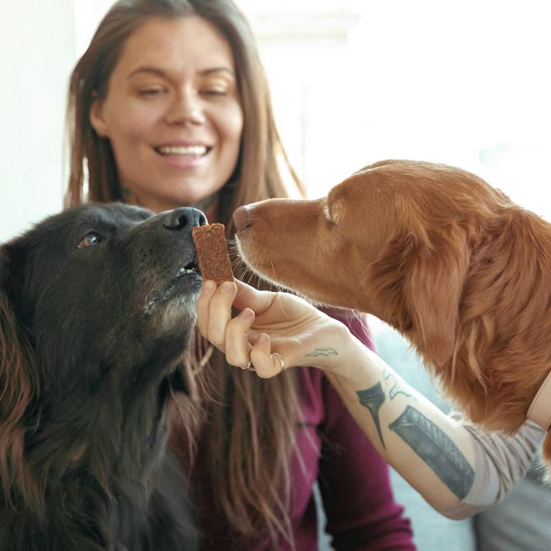 slide 3 of 3, Jinx Beef Tender Flavor Dog Jerky Treats - 5oz, 5 oz