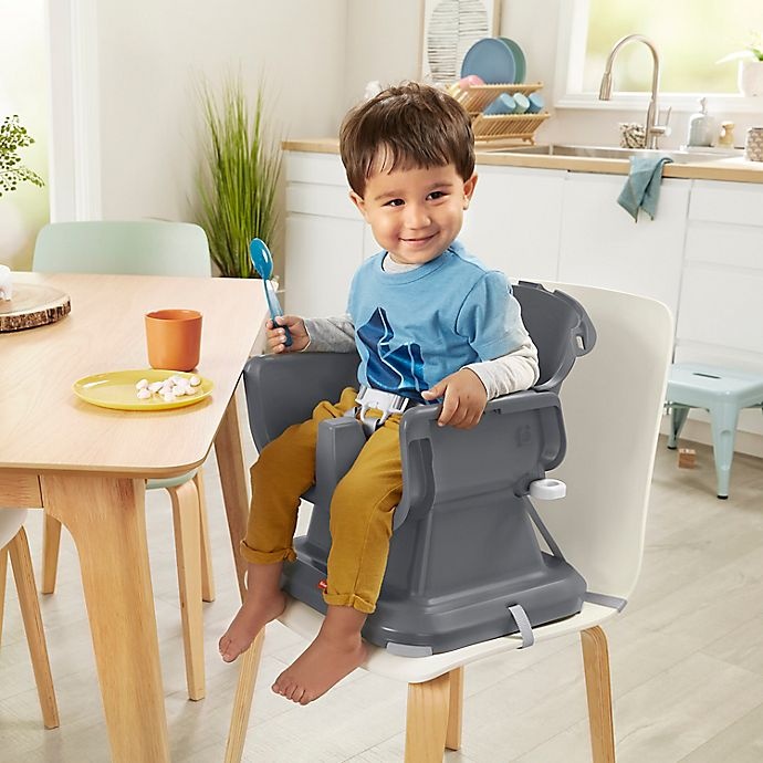Fisher-Price SpaceSaver Simple Clean High Chair - Midnight Eucalyptus 1 ...