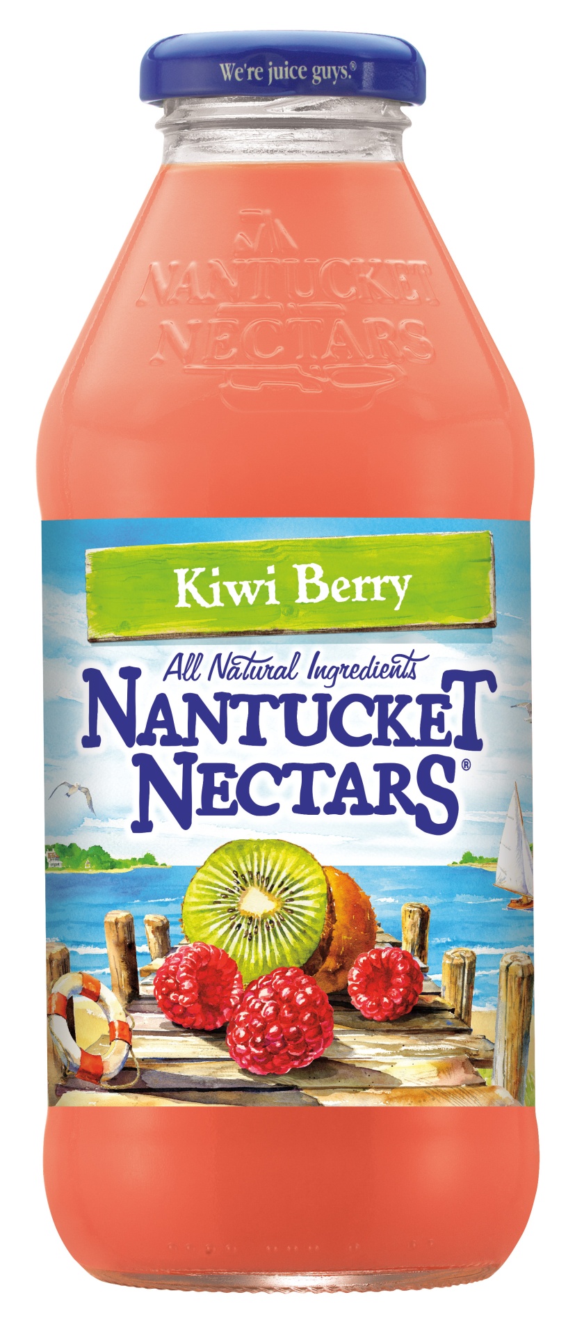 slide 1 of 2, Nantucket Nectars Nantucket Juice Cocktail - Kiwi Berry, 16 fl oz