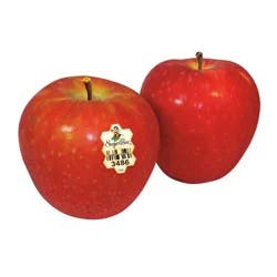Sugar Bee Apple