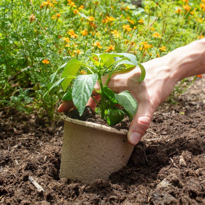 slide 2 of 8, Back to the Roots 8pk Organic & Peat Free Plantable Seed Starting Pots, 8 ct