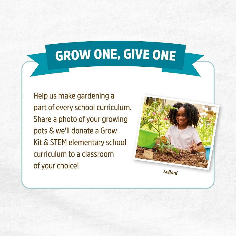 slide 8 of 8, Back to the Roots 8pk Organic & Peat Free Plantable Seed Starting Pots, 8 ct