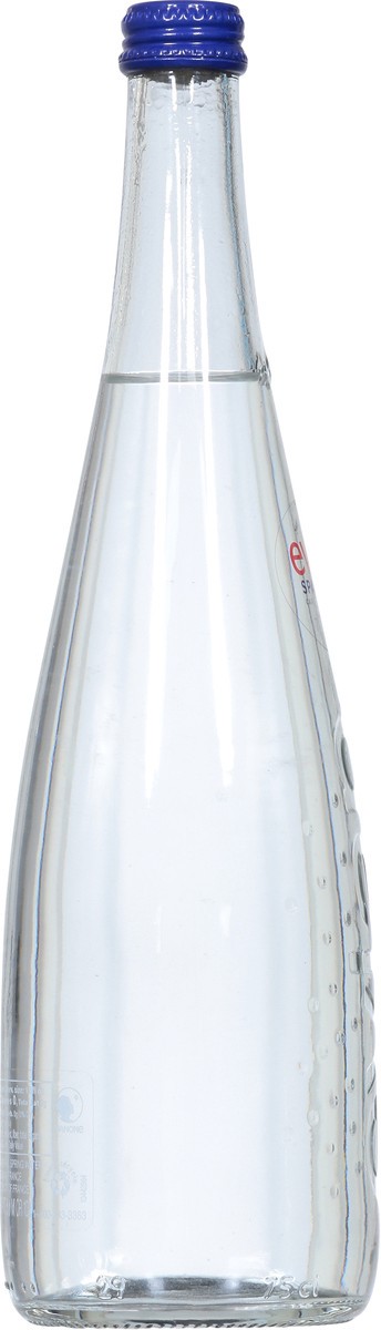 slide 2 of 14, Evian Sparkling Spring Water - 1.58 pt, 1.58 pt