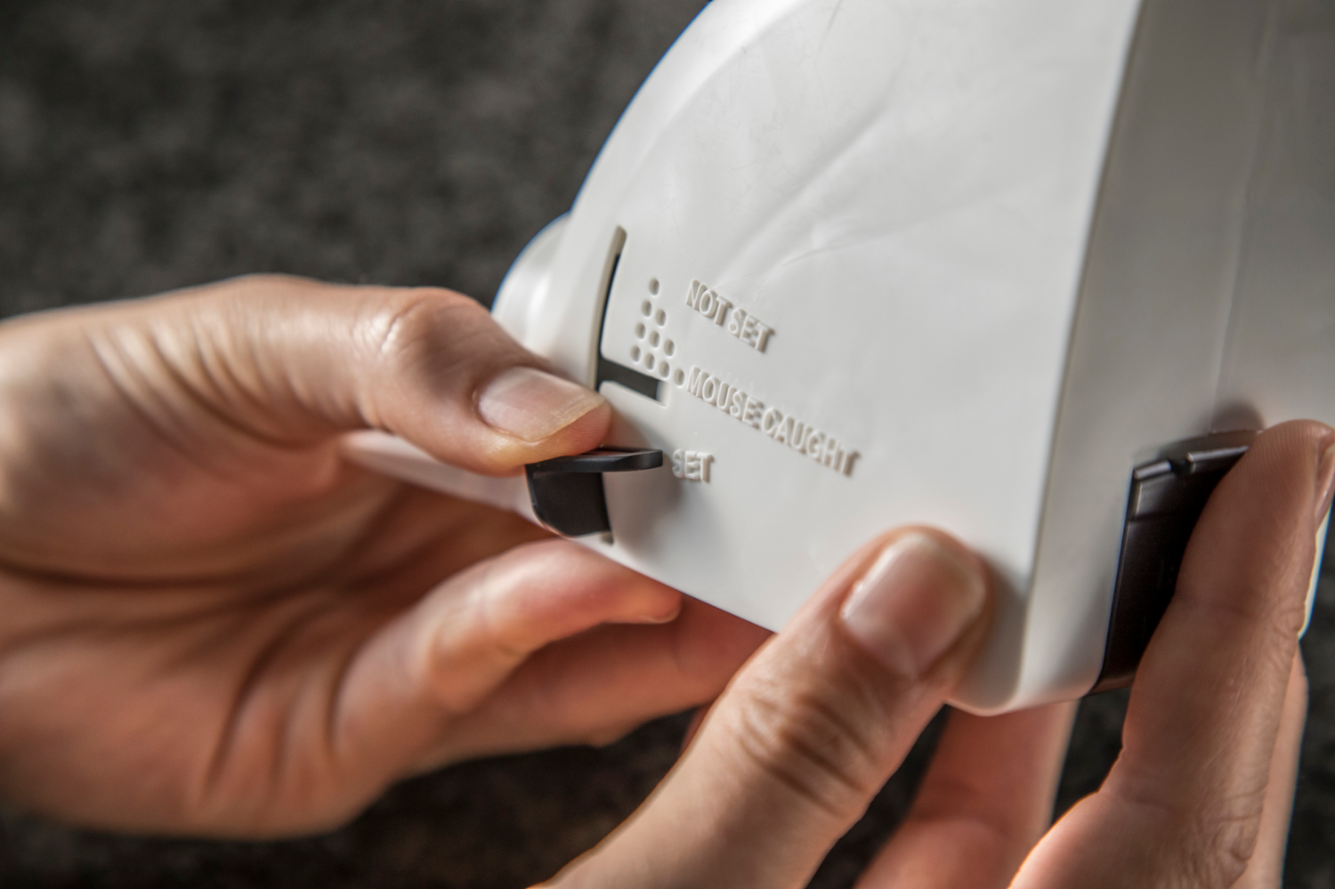 slide 2 of 2, Tomcat Kill & Contain Mouse Trap, 2 ct