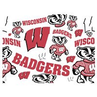 slide 3 of 5, Tervis Wisconsin Badgers Tervis Tumbler, 24 oz