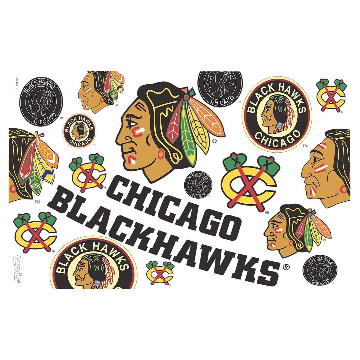 slide 5 of 5, Tervis NHL Chicago Blackhawks Acrylic Tumbler, 16 oz