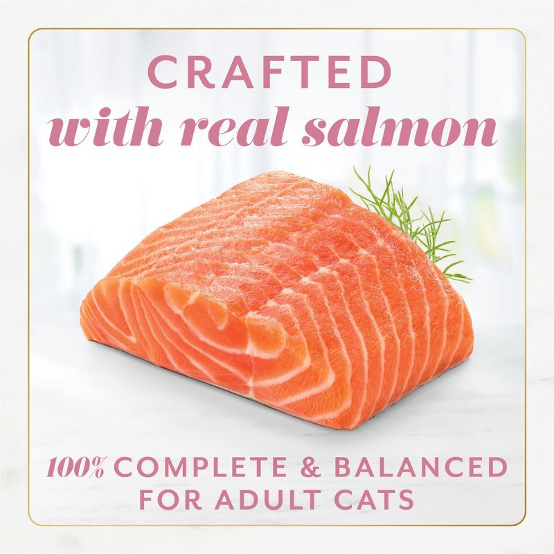 slide 5 of 11, Fancy Feast Gems Seafood, Fish, Salmon Flavor Adult Wet Cat Food - 2oz/2ct, 2 ct; 2 oz