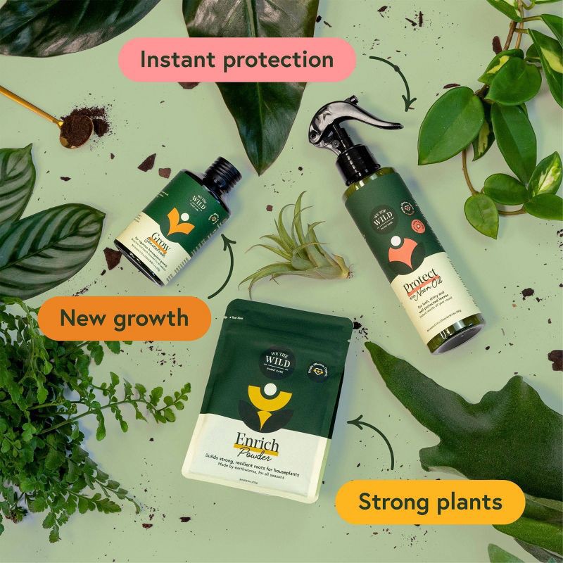slide 2 of 11, House Plant Care Essentials Kit - WE THE WILD, 1 ct