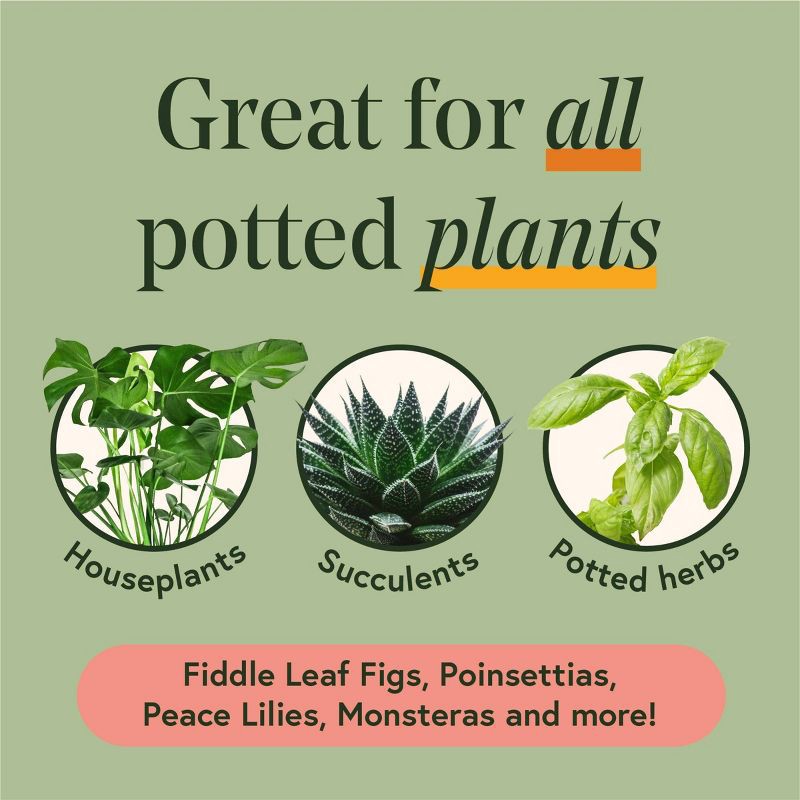 slide 10 of 11, House Plant Care Essentials Kit - WE THE WILD, 1 ct