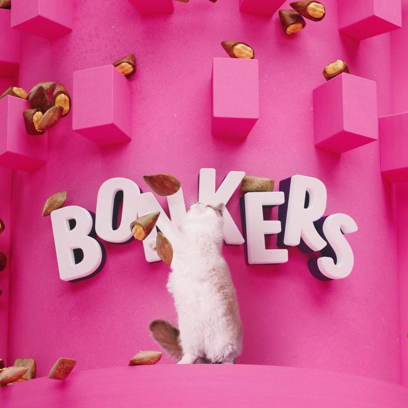 slide 9 of 12, Bonkers Adult Crunchy and Soft Cat Treats Chicken, Cheese & Catnip Flavor - 3oz, 3 oz