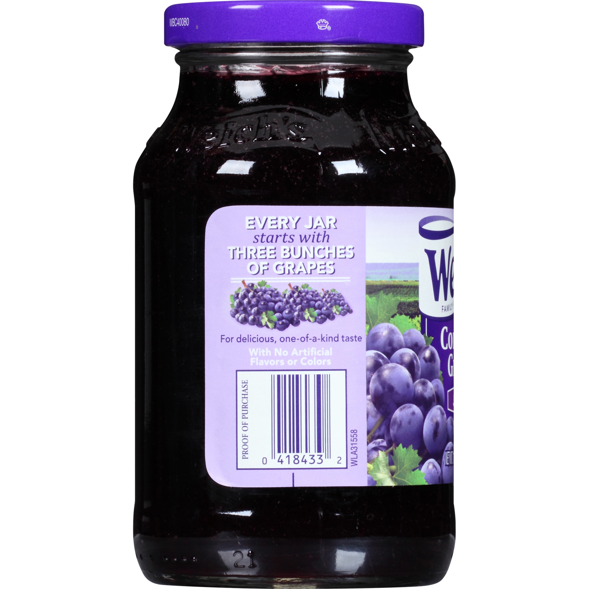 Welch's Grape Jelly 18 oz Shipt
