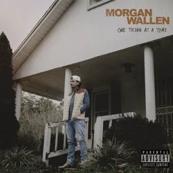Universal Music Group Morgan Wallen - One Thing At A Time (Vinyl)