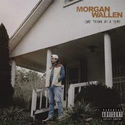 Universal Music Group Morgan Wallen - One Thing At A Time (Vinyl)