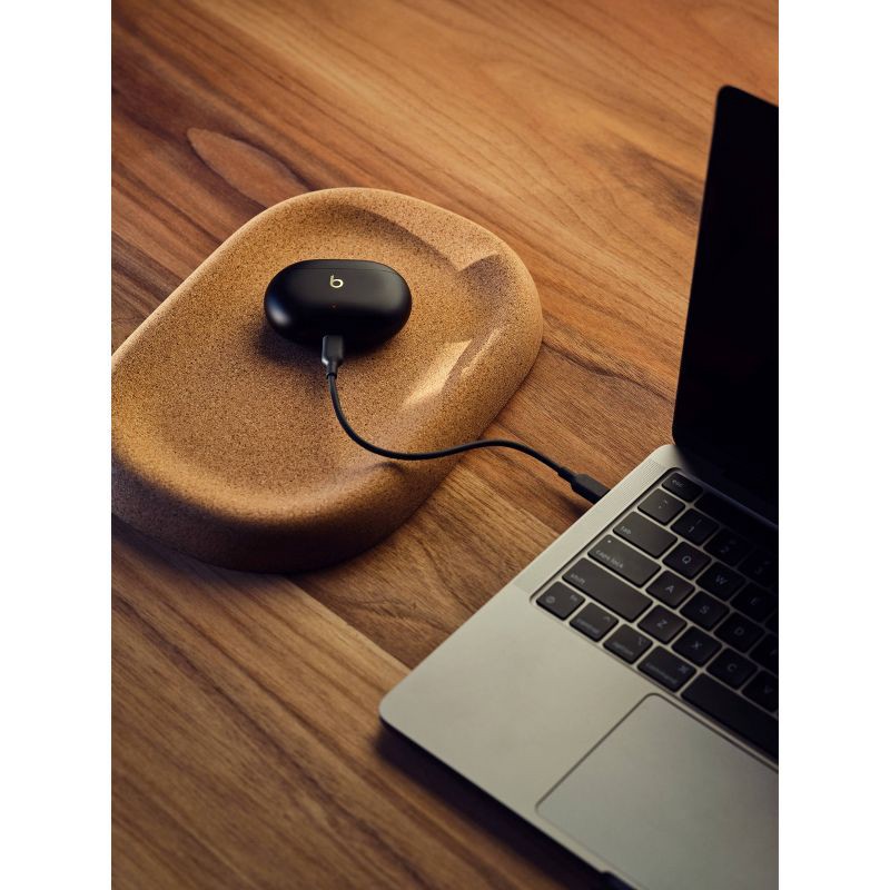 slide 23 of 28, Beats Studio Buds + True Wireless Bluetooth Noise Cancelling Earbuds - Black/Gold, 1 ct