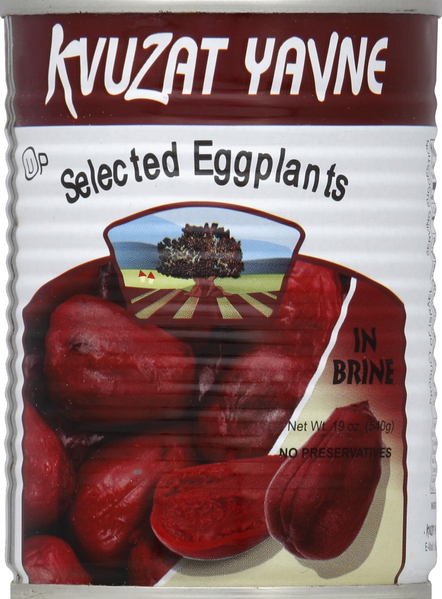slide 3 of 3, Kvuzat Yavne Selected Eggplants IN Brine, 19 oz