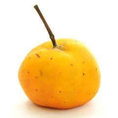 Tejocote
