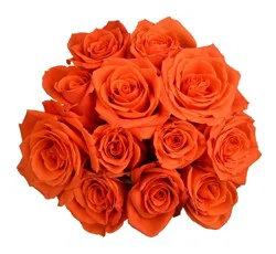 Bloom Haus Orange Roses
