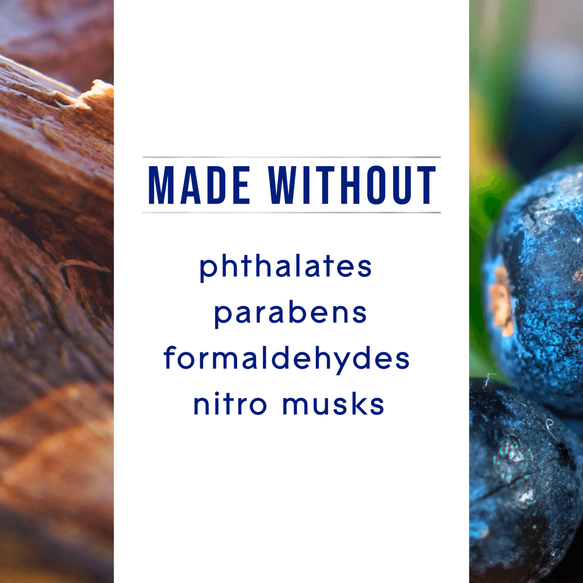 slide 7 of 29, Glade PlugIns Scented Oils Air Freshener Refills, Juniper & Teak, Fresh Collection, 0.67 fl oz Each, 2 Refills, 2 ct